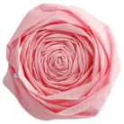 Crepe Paper