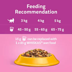 7kg Whiskas 1+ Adult Complete Dry Cat Food Chicken  Cat