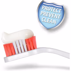 Beaphar | Toothbrush & Toothpaste Dental Care Kit | For Dogs & Cats