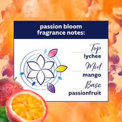 Comfort Creations Passion Bloom Fabric Conditioner Stay Fresh