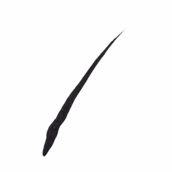 Maybelline Master Ink Matte Black Eye Liner 12g