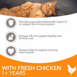IAMS Complete Dry Cat Food for Adult 1+ Cats with Chicken 3 kg