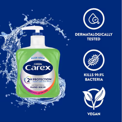 Carex 2 Hour Protection Antibacterial Aloe Vera Hand Wash, Added Natural Moisturisers, Gentle & Protects Hands, Bulk Buy, Pack of 6 x 250ml
