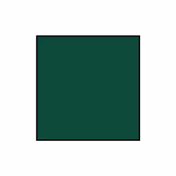 Tamiya Acrylics 10ml - XF-70 Dark Green 2