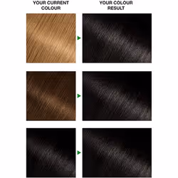 Garnier Nutrisse Permanent Hair Dye, hair colour , 1 Black