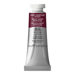 Winsor  Newton Professional Watercolor  14ml 047oz Tube  Caput Mortuum Violet