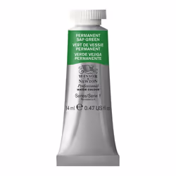 Winsor Newton Professional Watercolor 14ml 047oz Tube Permanent Sap Green