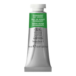 Winsor  Newton Professional Watercolor  14ml 047oz Tube  Permanent Sap Green