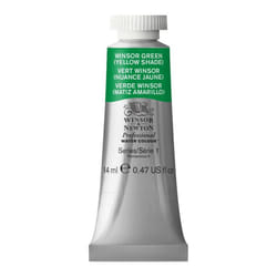 Winsor  Newton Professional Watercolor  14ml 047oz Tube  Winsor Green Yellow Shade