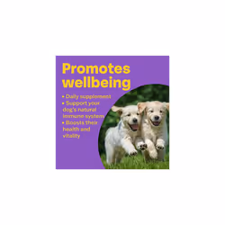 Conditioning Tablets for Dogs (100 Tablets) - Rich in Vitamins, Supports a Healthy Immune System, Nutritional Tasty Supplement