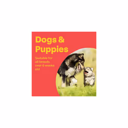Conditioning Tablets for Dogs (100 Tablets) - Rich in Vitamins, Supports a Healthy Immune System, Nutritional Tasty Supplement