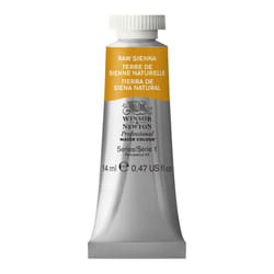 Winsor & Newton Professional water based paint Brown 14 ml Tube 1 pc(s)