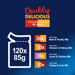 FELIX Doubly Delicious Countryside Selection Jelly Wet Cat Food120x85g