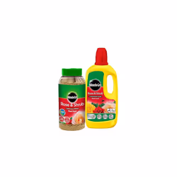 Miracle Grow Rose Feed Fertiliser - Bundle of Rose & Shrub 900g