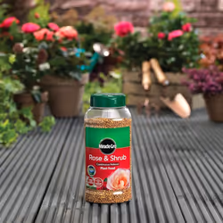 Miracle Grow Rose Feed Fertiliser - Bundle of Rose & Shrub 900g