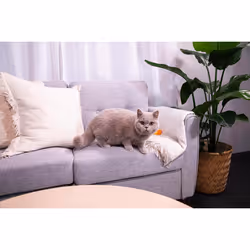 Sanicat - Classic Marseille soap scented cat