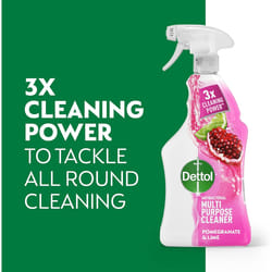 Dettol Antibacterial Multipurpose Cleaner Multipack