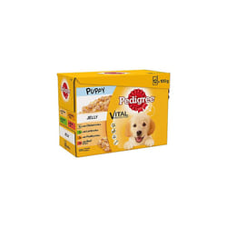 Pedigree Junior Wet Dog Food for Young Dogs and Puppies 2-12 Months Mixed Selection in Jelly, 12 x 100g