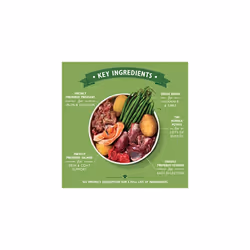 Lily's Kitchen Adult Wild Campfire Stew Wet Dog Food (10 x 150 g)