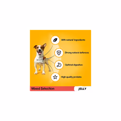 PEDIGREE Dog Pouches Mixed Selection in Jelly 40x100g Mega Pack