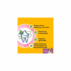 Pedigree Dentastix - Fresh Daily Dental Chews Small Dog, 70 Sticks - 10 x 110 g