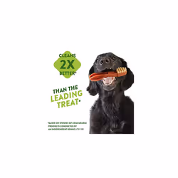 WHIMZEES Natural Dental Dog Chews Long lasting, Large Hedgehog, 6 Pieces