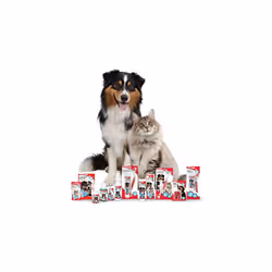 Beaphar Toothbrush and Toothpaste Kit, 100g