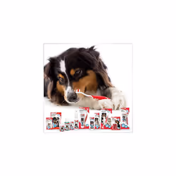 Beaphar Toothpaste for Dogs And Cats, 100g