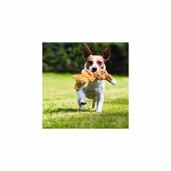 KONG - Scrunch Knots Raccoon - Internal Knotted Ropes and Minimal Stuffing for Less Mess - For Medium/Large Dogs