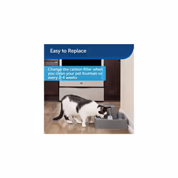 PetSafe Drinkwell Replacement Filter for Avalon Pagoda Pet Fountains, Pack of 4, Charcoal Carbon Filter for Cats and Dogs