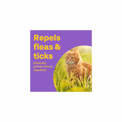 Bob Martin Clear | Flea & Tick Spot On for Cats and Kittens | Pesticide Free Repellent | Clinically Proven Prevention (1 Pipette)
