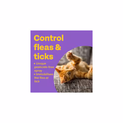 Bob Martin Clear | Flea Spray for Cats and Home | Controls Flea and Tick infestations in the Household (300 ml)