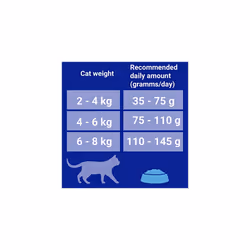 Purina ONE Sensitive Dry Cat Food Turkey & Rice 3kg (Case of 4)