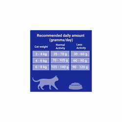 Purina ONE Indoor Dry Cat Food Turkey and Wholegrain, 3kg