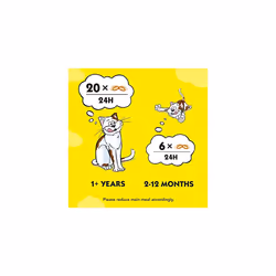 Dreamies Cat Treats, Tasty Snacks with Delicious Cheese and Tempting Beef, 8 Pouches of 60 g
