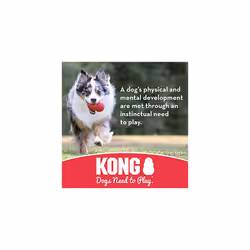 KONG - Flyer - Durable Rubber Flying Disc Dog Toy - For Large Dogs