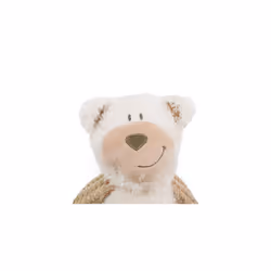 Rosewood Benjamin Bear Dog Toy