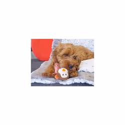 Rosewood LITTLE NIPPERS CHEEKY CHIMP