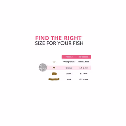 Fluval Bug Bites Colour Enhancing Fish Food, 125 g