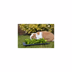 Rosewood SNUFFLE FORAGE MAT FOR SMALL ANIMALS
