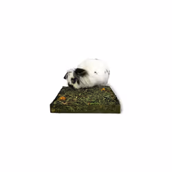 Rosewood NIBBLE 'N' DIG MEADOW