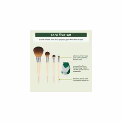 EcoTools Core Five Makeup Brush and Sponge Kit, For Eyeshadow, Blush, Bronzer, Eyeliner, & Foundation, Makeup Blending Sponge, Brush Essentials, 5