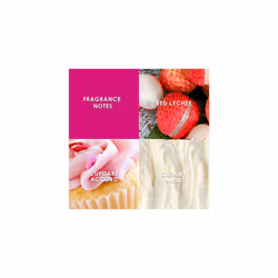 Britney Spears Fantasy Eau de Parfum (100ml) Fruity & Feminine Scent, Luxury Fragrance for Women