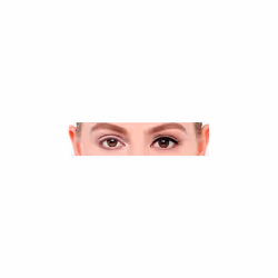 Eylure Individual Cluster Lashes SML Knot Free