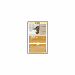 Top Trumps Star Wars The Mandalorian Limited Editions Card Game, play with Greef Karga, Moff Gideon, Boba Fett, Koska Reeves, and Grogu himself, gift