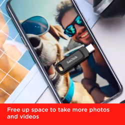 SanDisk 256GB Ultra Dual Drive Go, USB C Flash Drive, USB C Memory stick for Android smartphone,