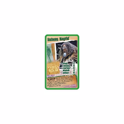 Top Trumps Harry Potter and the Deathly Hallows Part 1 Specials Card Game, play with Harry, Ron, Hermione, Dumbledore, Hagrid and Voldemort, gift and
