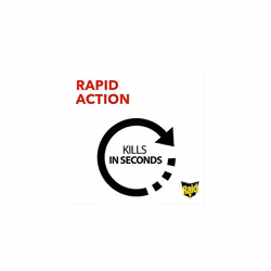Raid Rapid Action Fly & Wasp Killer, Fly Killer Spray For Indoor Use, Pack of 6 (6 x 300ml)