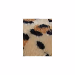 TY 2007518 Livvie Leopard Beanie Boo Stuffed Animal, Multicoloured