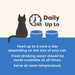 Applaws 100% Natural Wet Cat Food Tins, Tuna Fillet with Prawn in Broth 70 g for Adult Cats (24 x 70 g Tins)